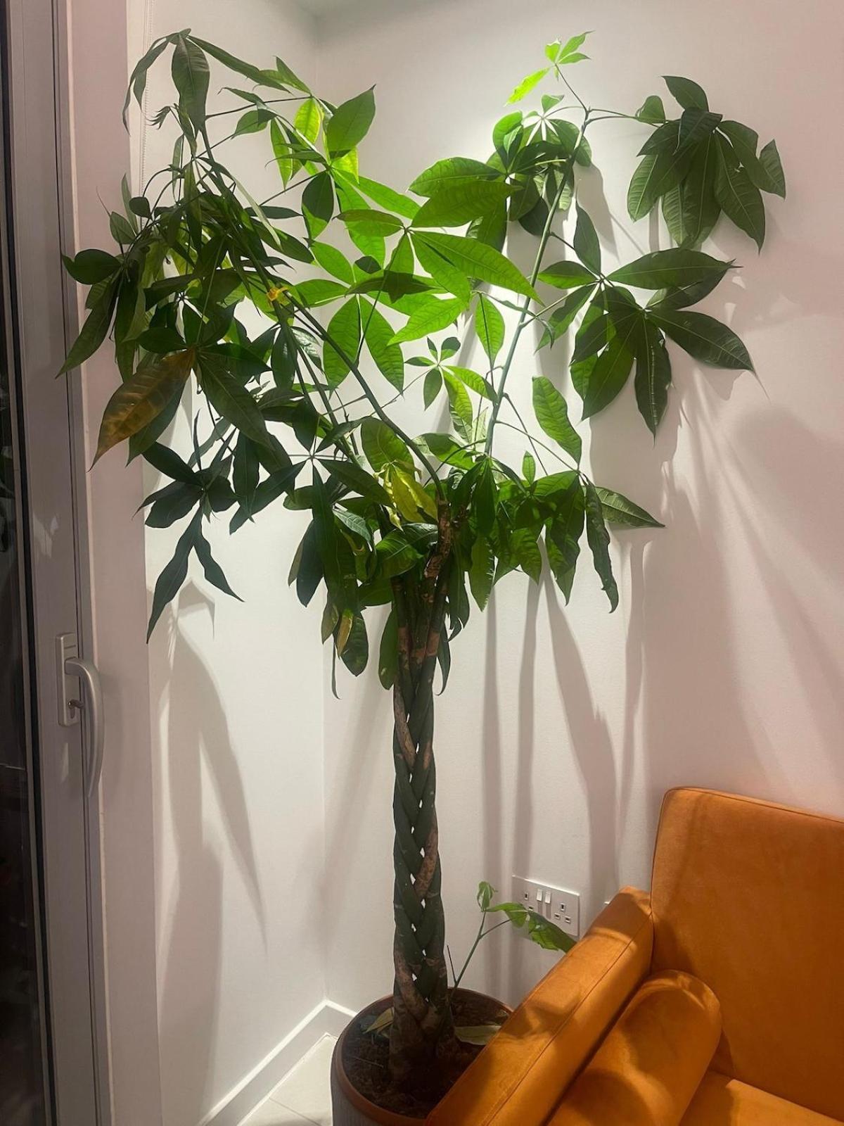 Luxury 1 Bedroom Apartment In Londra Esterno foto